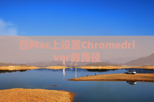 在Mac上设置Chromedriver的路径